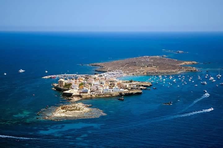 阿利坎特12- Apmto Playa Albufereta Rocafel 5公寓 外观 照片